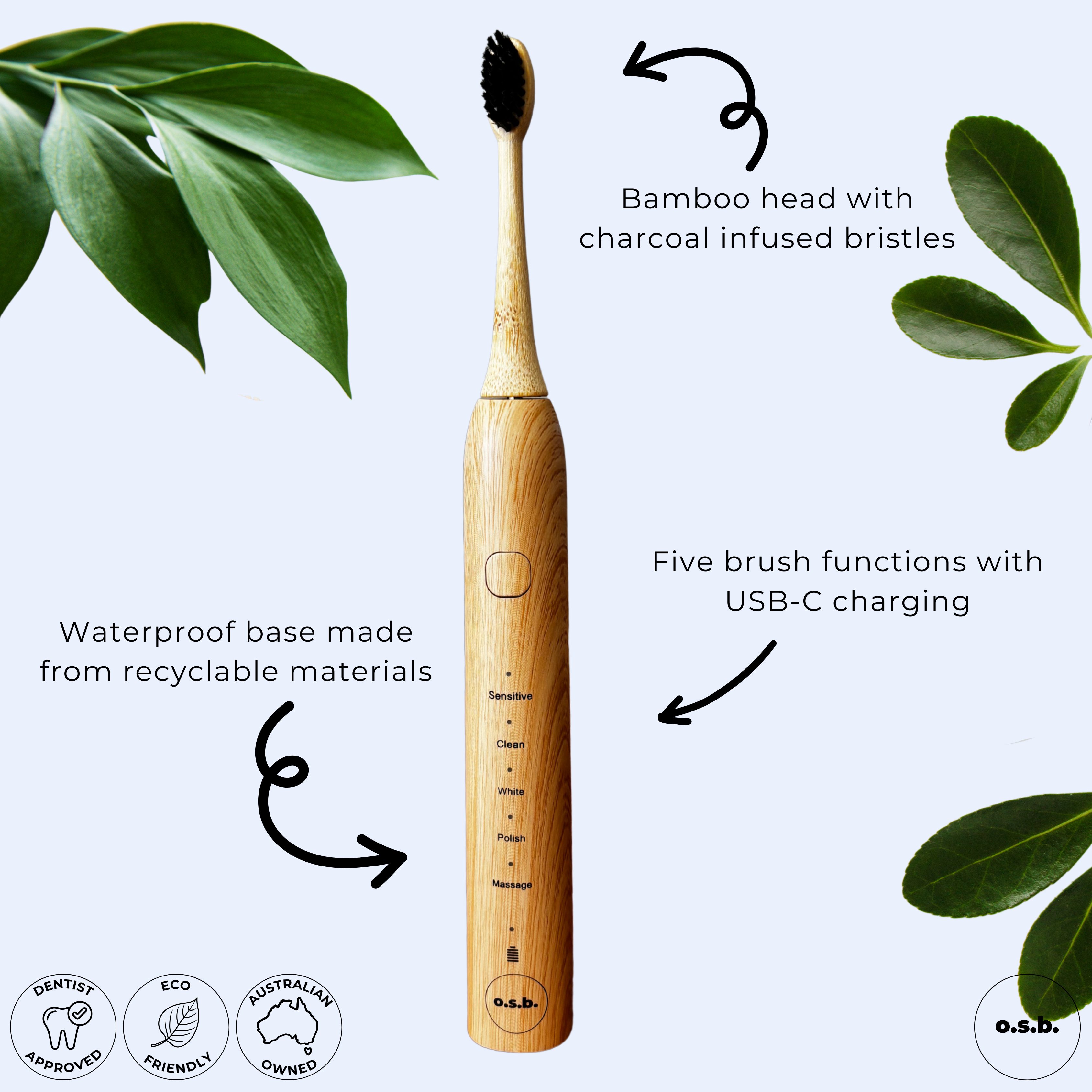 Eco-Electric Toothbrush