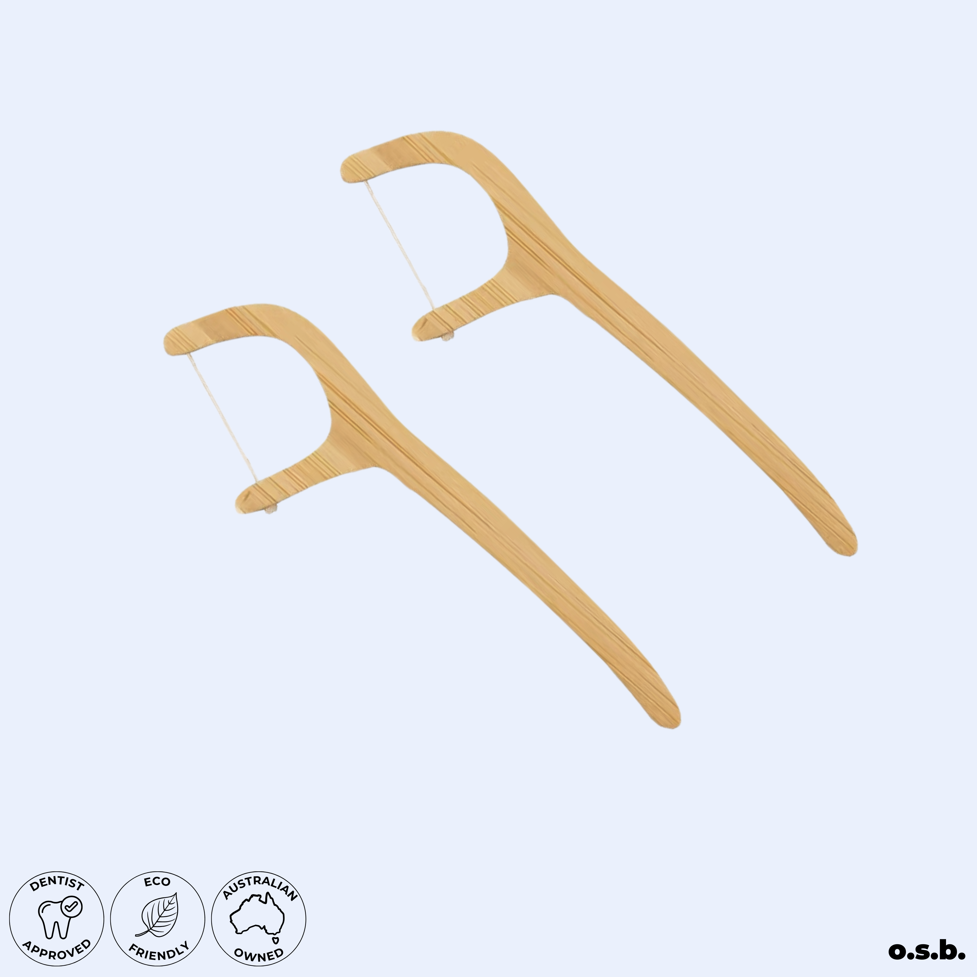 Eco Floss (x10)