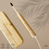 Eco-Electric Toothbrush