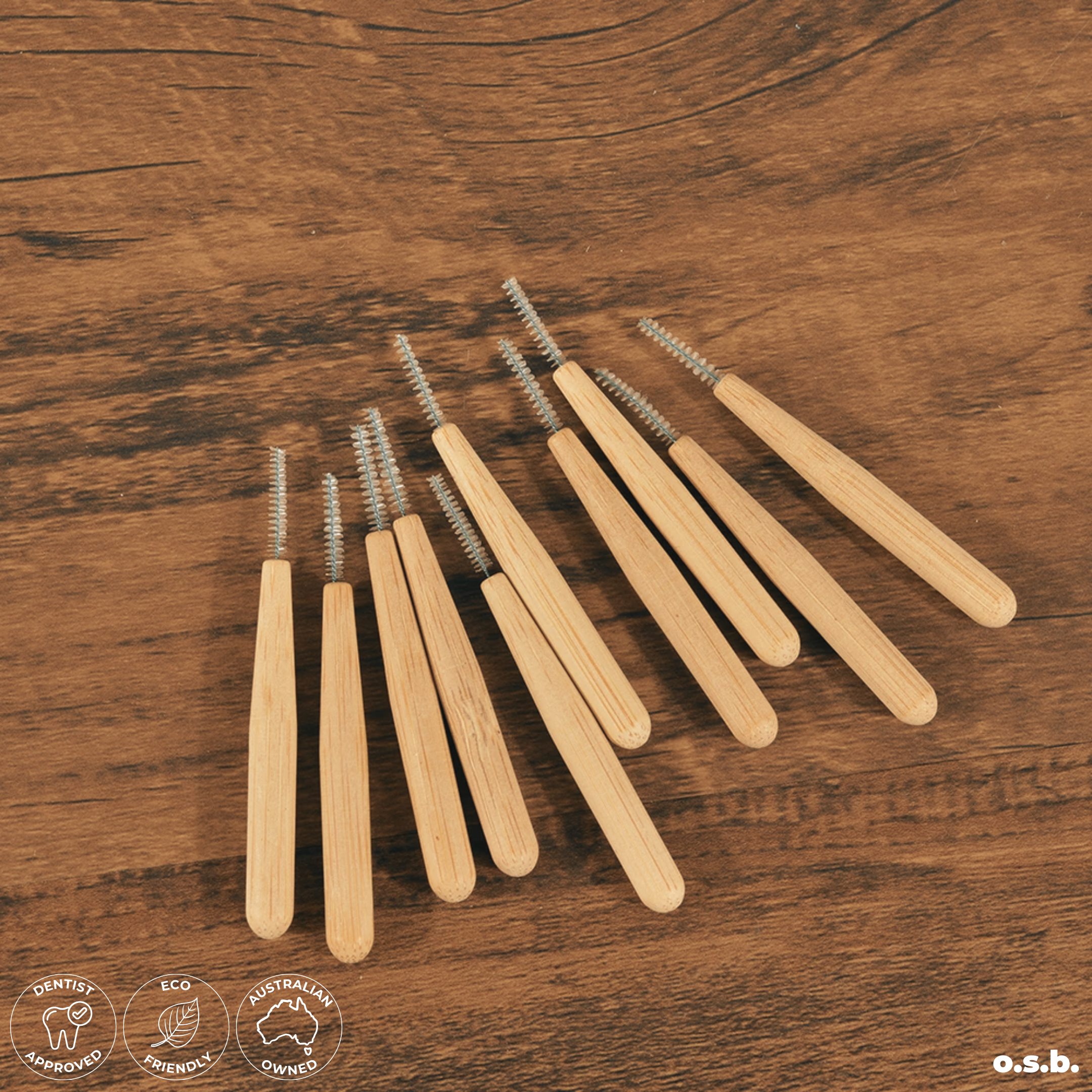 Brush Buddies (x10)
