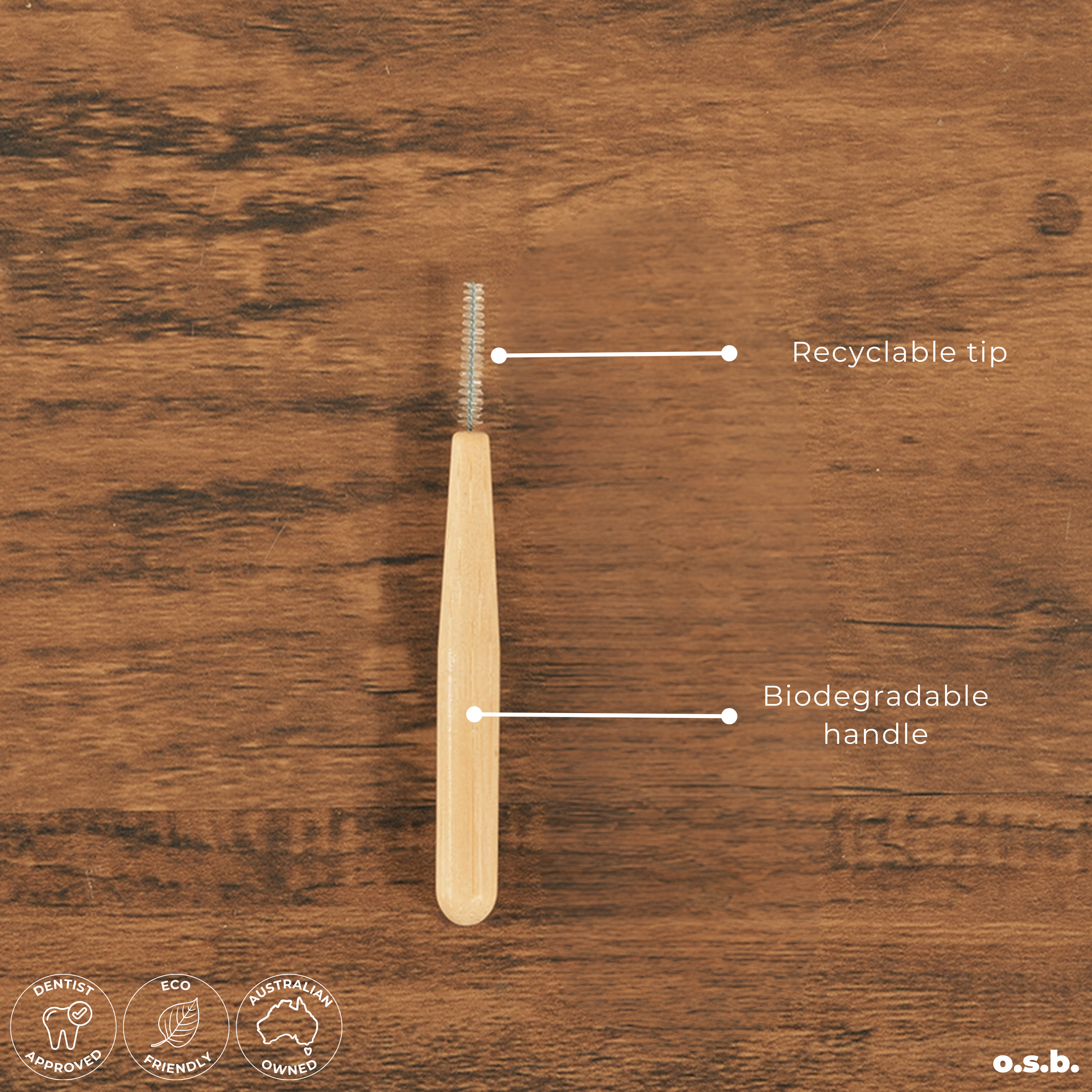 Brush Buddies (x10)