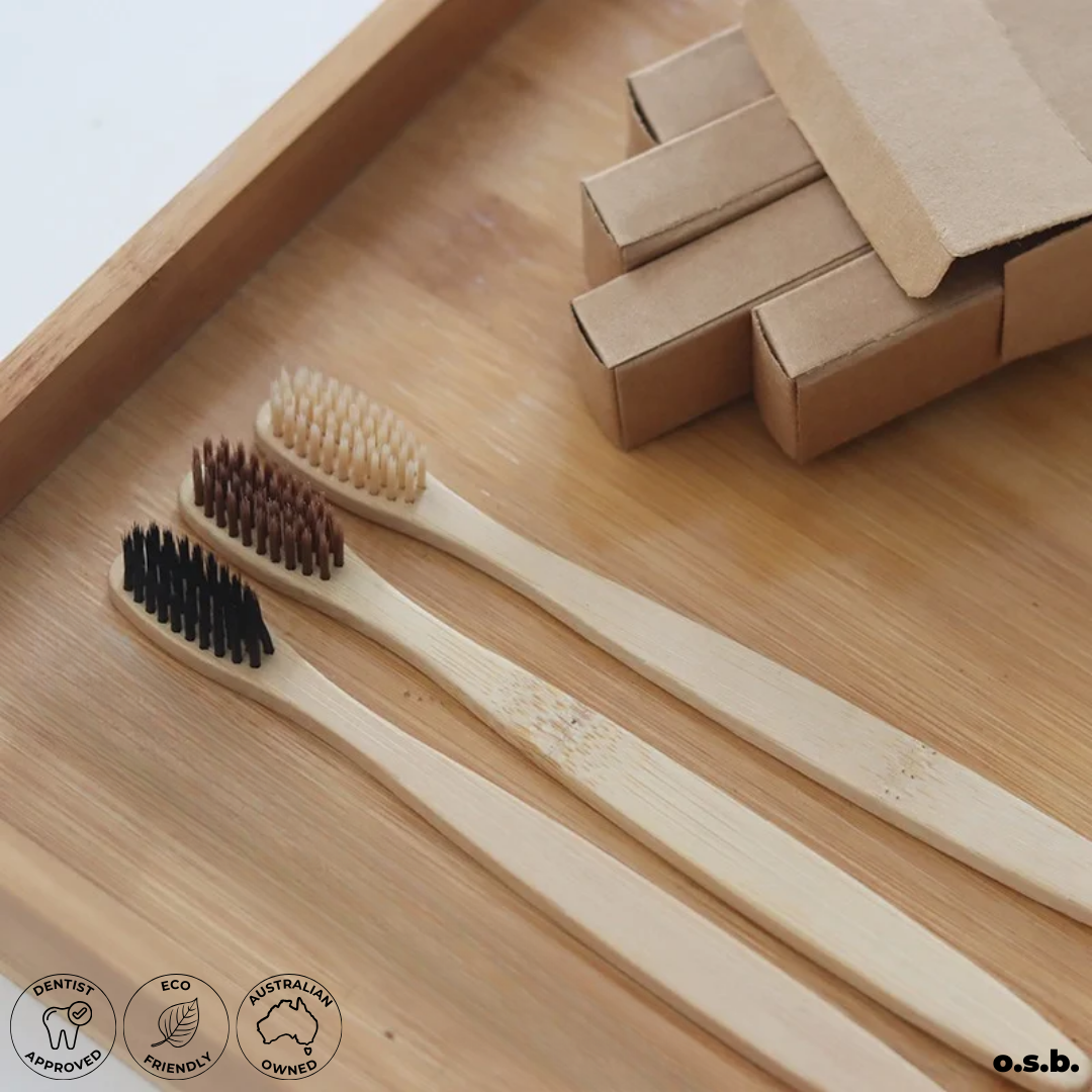 Basics Brush (x3)