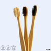 Basics Brush (x3)