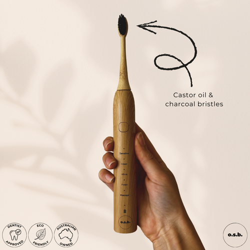 Brush Heads (x1)