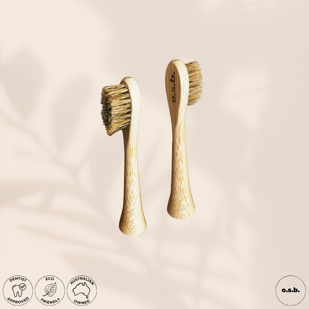 Brush Heads (x1)