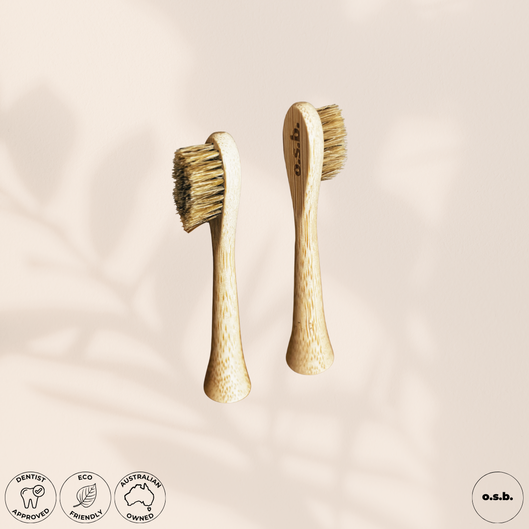 Brush Heads (x1)
